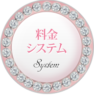 料金システム