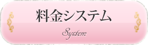 料金システム